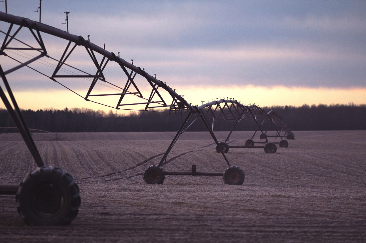 CODICE 6. Attrezzi Agricoli e Scorte Aziendali
